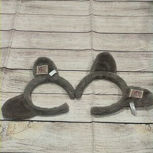 Great Wolf Lodge Ears